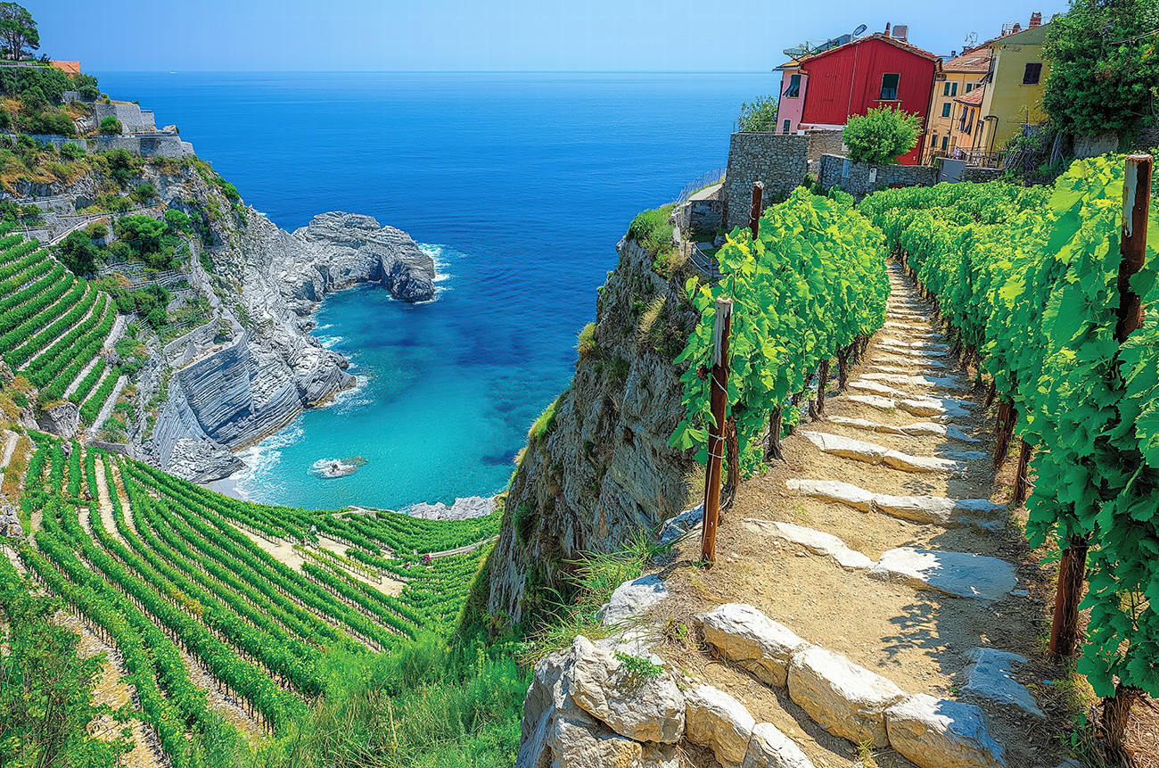Cinque Terre, Hike and Wine Indulgence - BEYOND by Medov Group is your onboard concierge for discovering unforgettable, personalized excursions