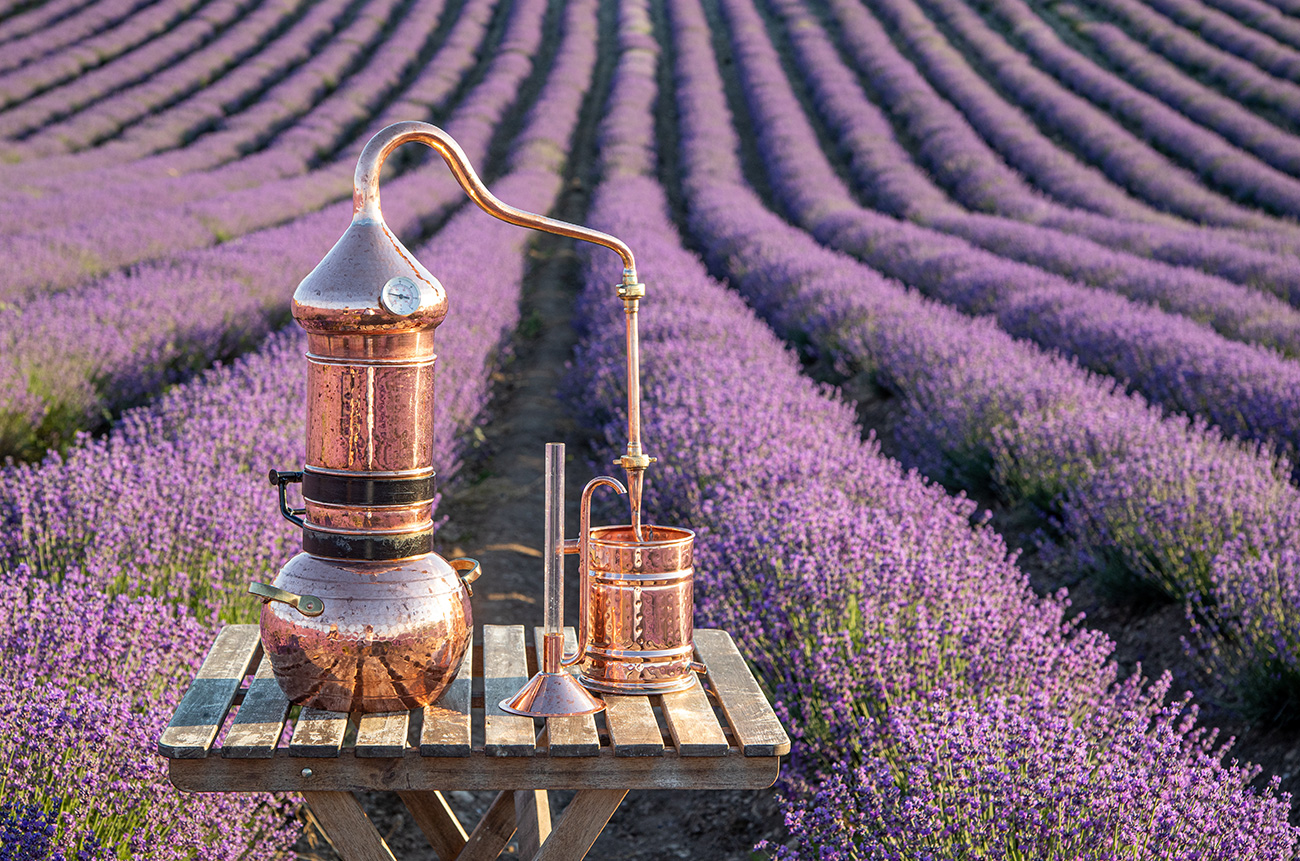 Elixirs of Liguria - BEYOND by Medov Group is your onboard concierge for discovering unforgettable, personalized excursions