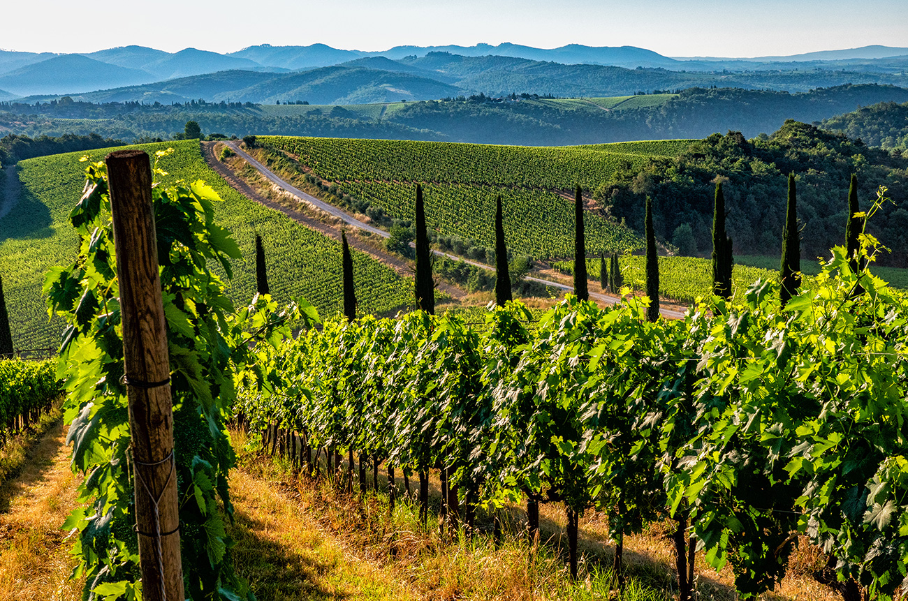 Ferrari Tour and Gourmet Wine Experience in Chianti - Wine, Truffles, and Ferrari - BEYOND by Medov Group is your onboard concierge for discovering unforgettable, personalized excursions