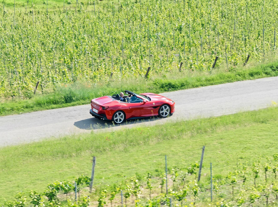 Ferrari Tour and Gourmet Wine Experience in Chianti - Wine, Truffles, and Ferrari - BEYOND by Medov Group is your onboard concierge for discovering unforgettable, personalized excursions