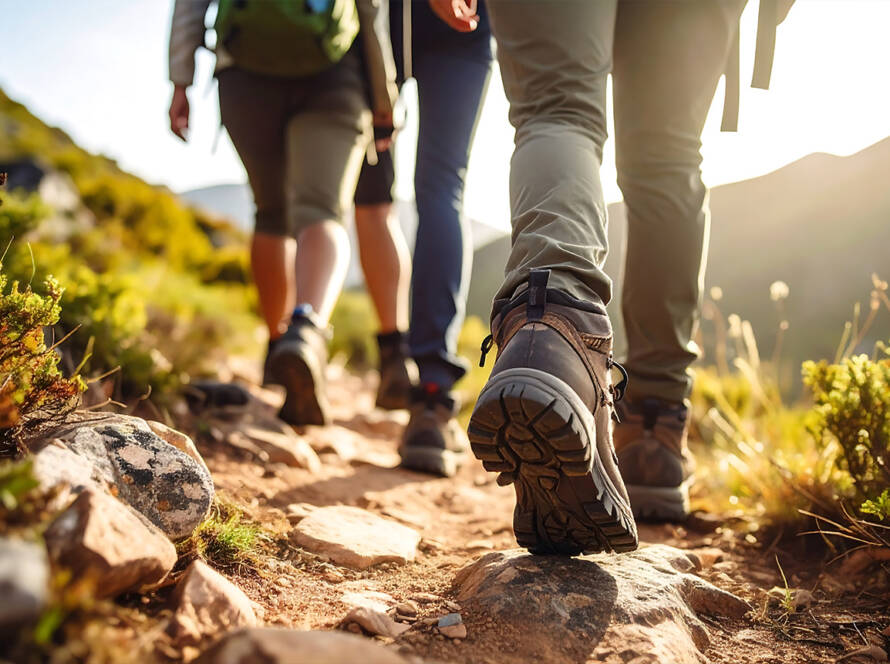 Sunset Eco-Trekking Adventure - BEYOND by Medov Group is your onboard concierge for discovering unforgettable, personalized excursions