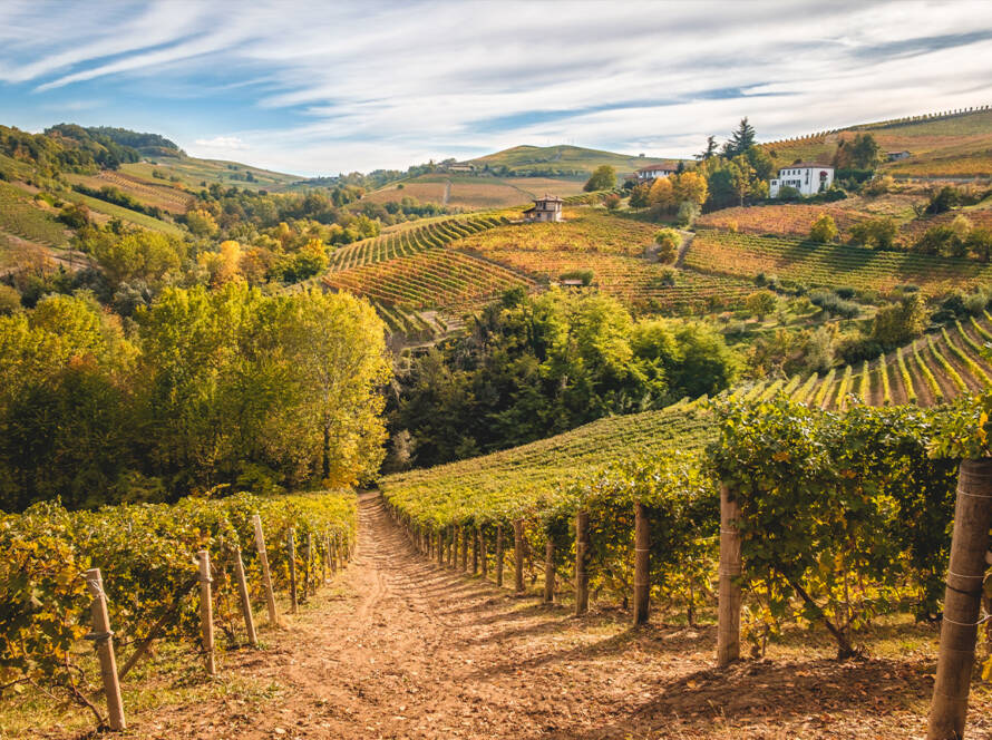 The Essence of Langhe - BEYOND by Medov Group is your onboard concierge for discovering unforgettable, personalized excursions