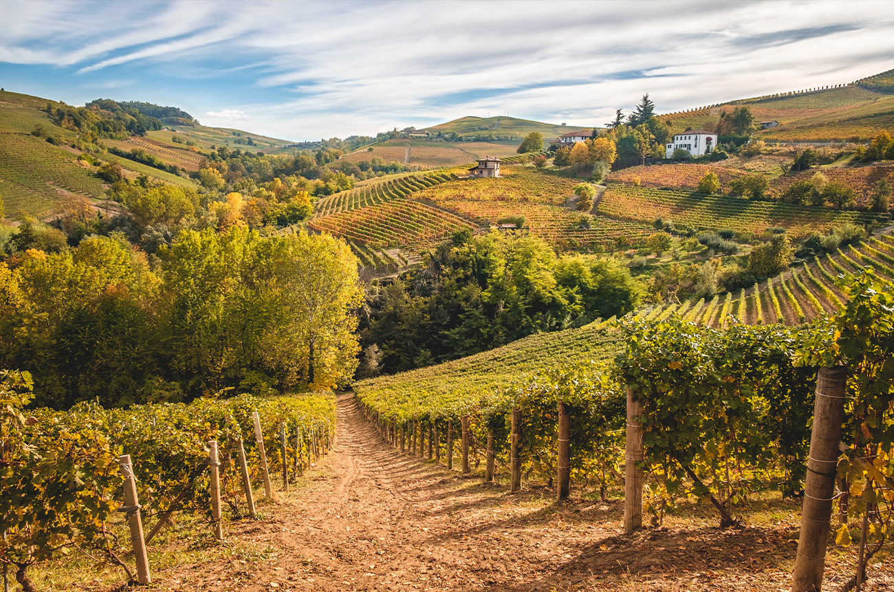 The Essence of Langhe - BEYOND by Medov Group is your onboard concierge for discovering unforgettable, personalized excursions
