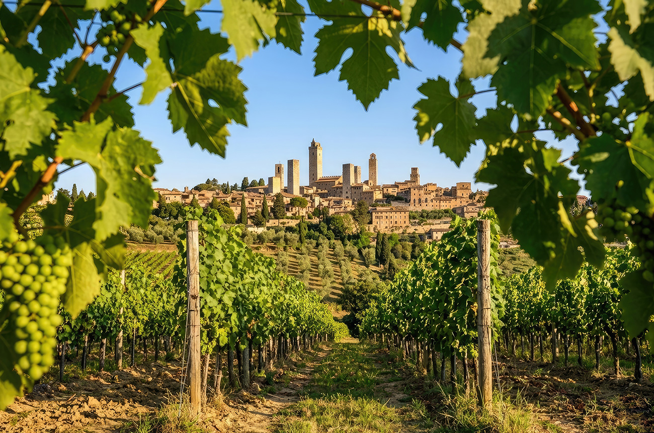 Unveiling Chianti - BEYOND by Medov Group is your onboard concierge for discovering unforgettable, personalized excursions