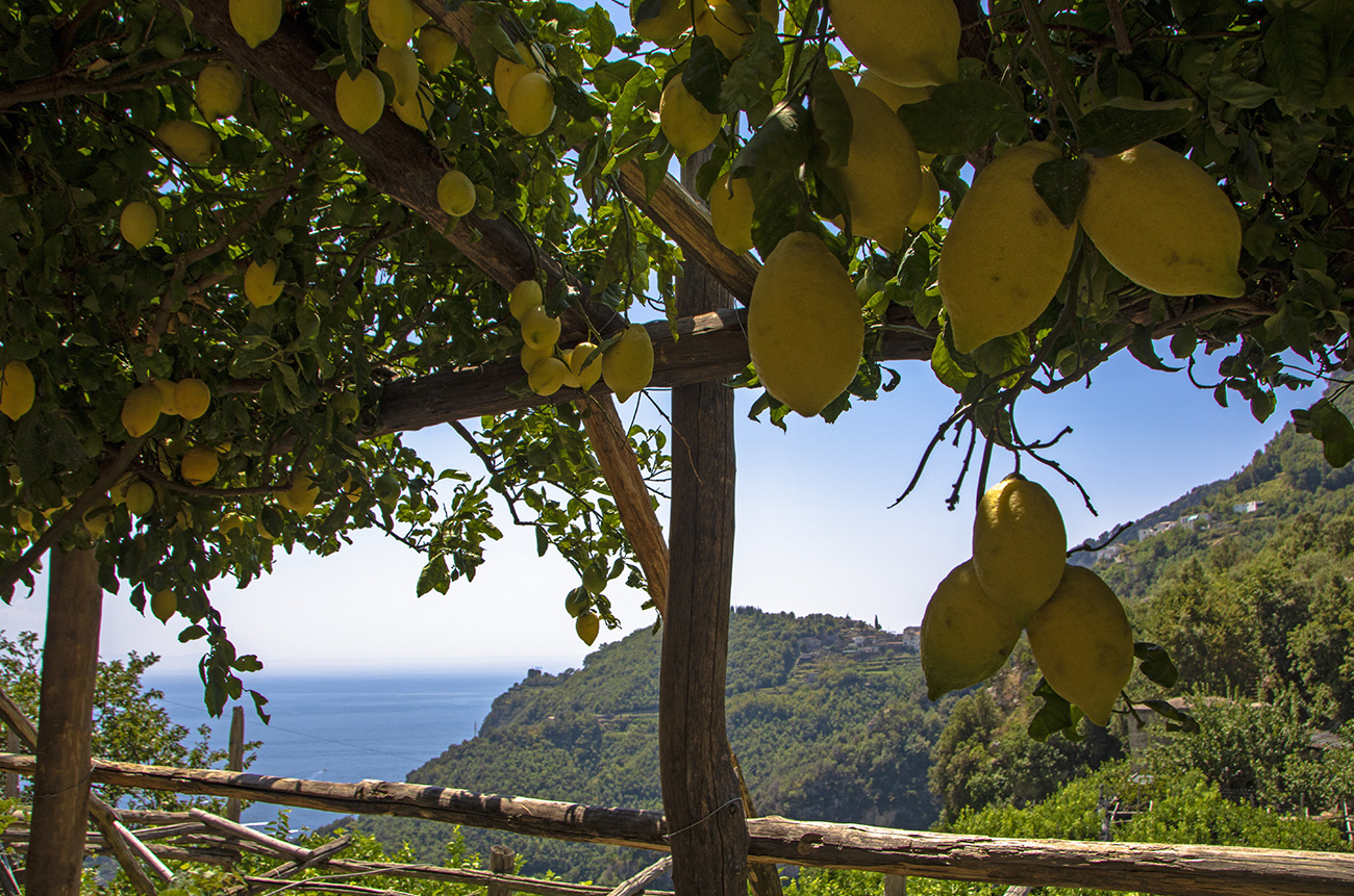 In the heart of Amalfi - BEYOND by Medov Group is your onboard concierge for discovering unforgettable, personalized excursions