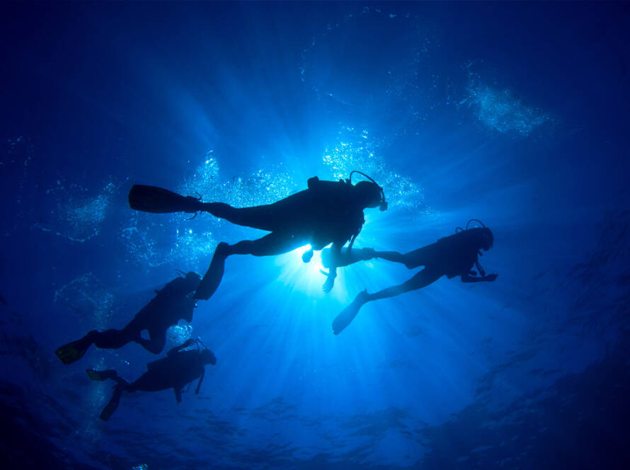 Into the Blue - BEYOND by Medov Group is your onboard concierge for discovering unforgettable, personalized excursions