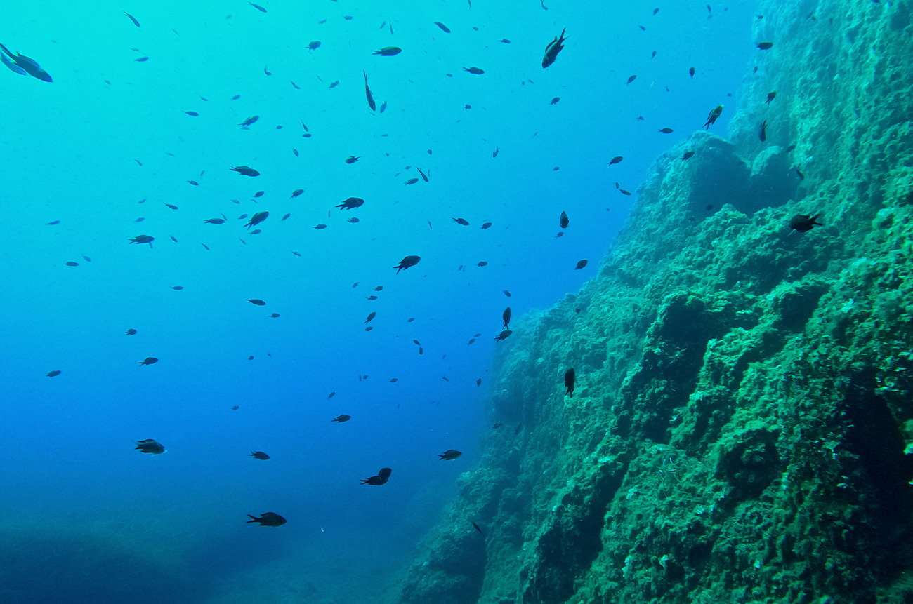 Snorkeling Secrets of Panarea - BEYOND by Medov Group is your onboard concierge for discovering unforgettable, personalized excursions