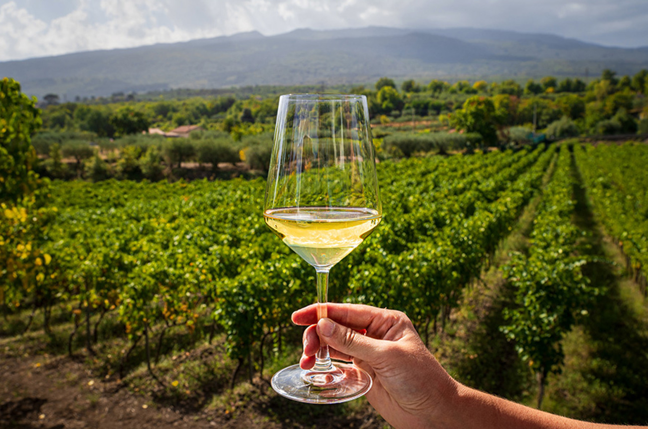 Tasting the Icons of Etna with a Gourmet Touch - BEYOND by Medov Group is your onboard concierge for discovering unforgettable, personalized excursions