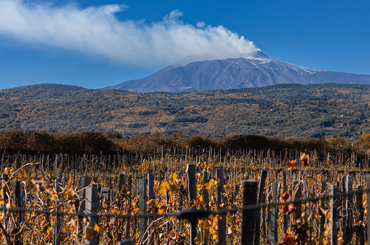Tasting the Icons of Etna with a Gourmet Touch - BEYOND by Medov Group is your onboard concierge for discovering unforgettable, personalized excursions