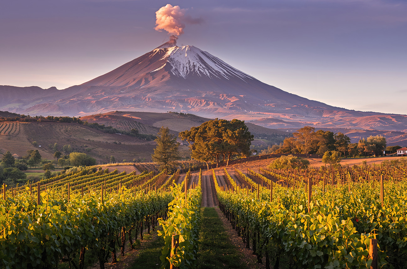 Tasting the Icons of Etna with a Gourmet Touch - BEYOND by Medov Group is your onboard concierge for discovering unforgettable, personalized excursions