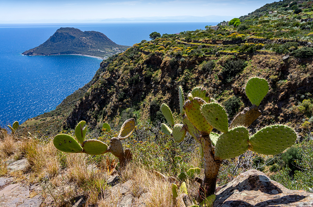 Whispers of Filicudi - BEYOND by Medov Group is your onboard concierge for discovering unforgettable, personalized excursions