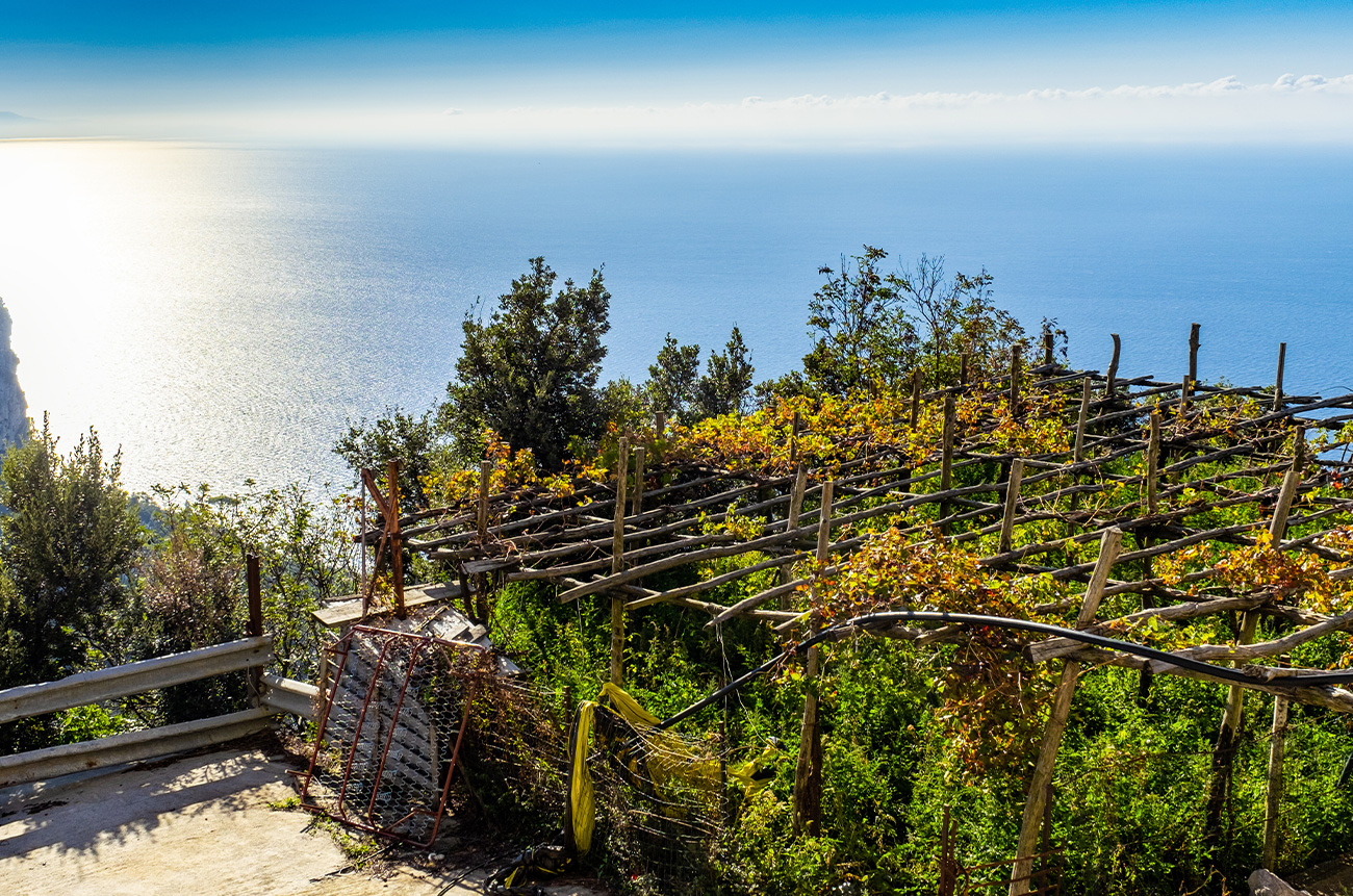 Wines of the Coast - BEYOND by Medov Group is your onboard concierge for discovering unforgettable, personalized excursions