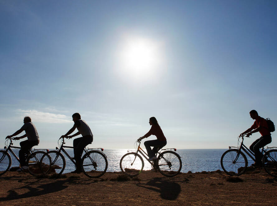 Silent Wheels - BEYOND by Medov Group is your onboard concierge for discovering unforgettable, personalized excursions