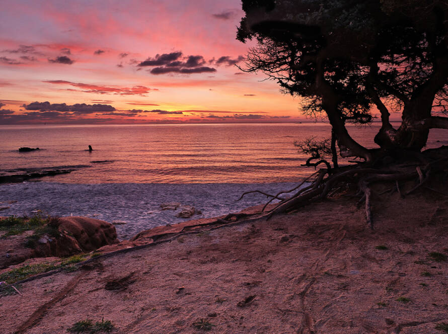 Sunset Trek - BEYOND by Medov Group is your onboard concierge for discovering unforgettable, personalized excursions