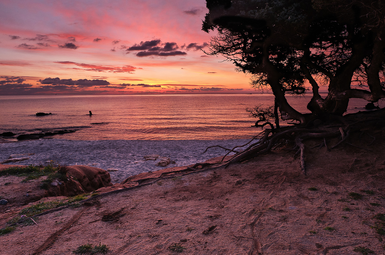 Sunset Trek - BEYOND by Medov Group is your onboard concierge for discovering unforgettable, personalized excursions