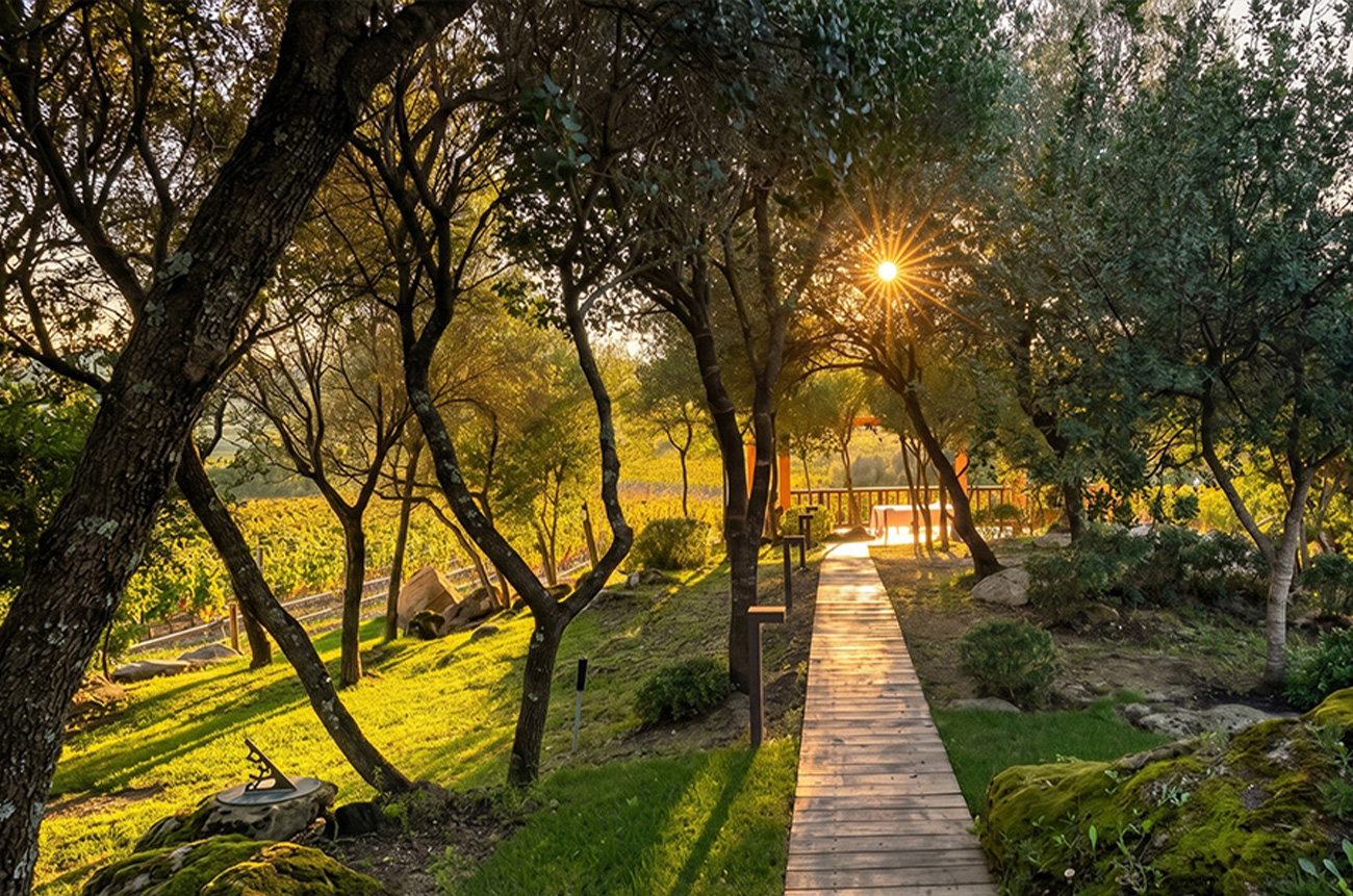 The essence of Vermentino - BEYOND by Medov Group is your onboard concierge for discovering unforgettable, personalized excursions