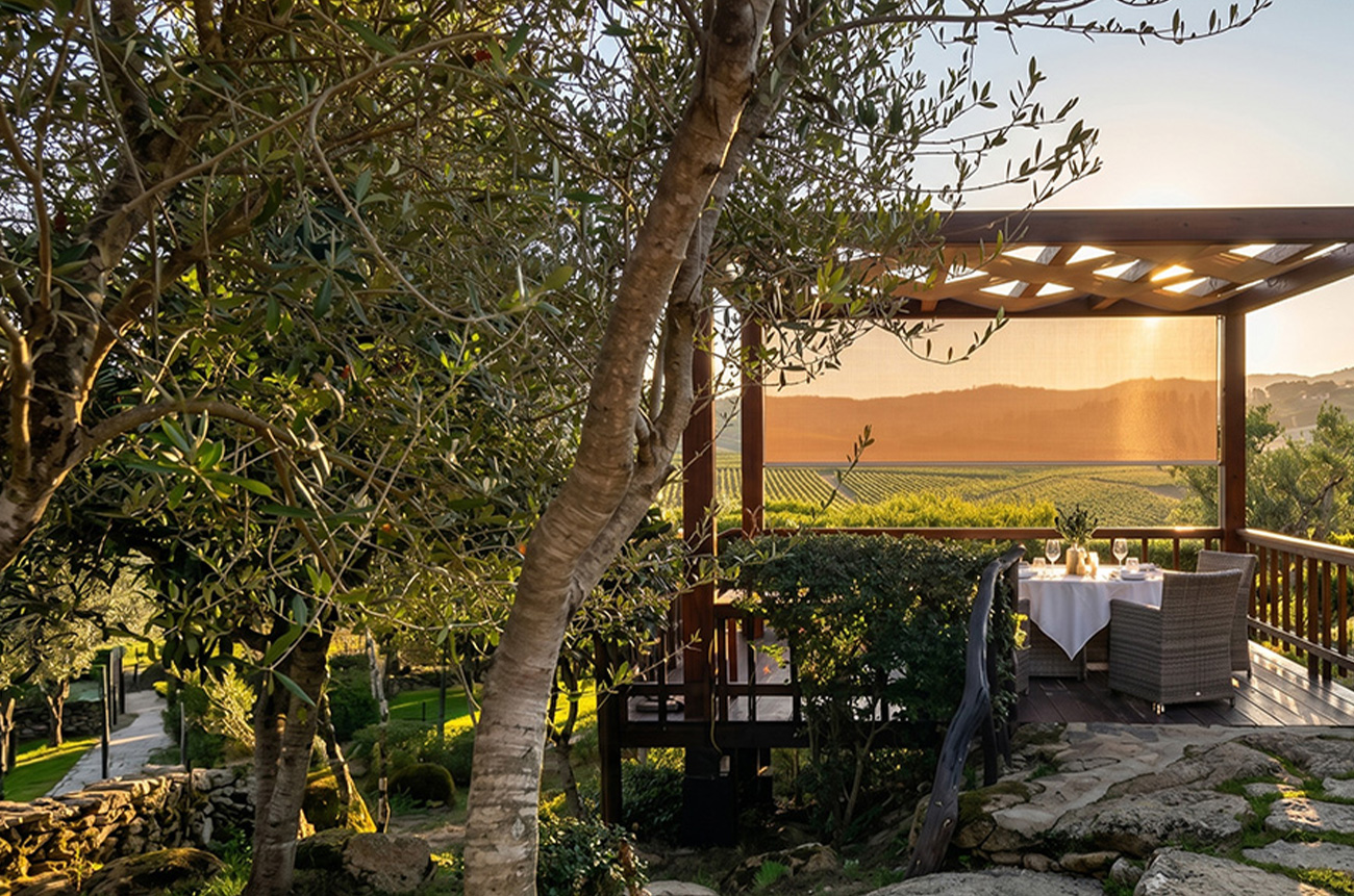 The essence of Vermentino - BEYOND by Medov Group is your onboard concierge for discovering unforgettable, personalized excursions