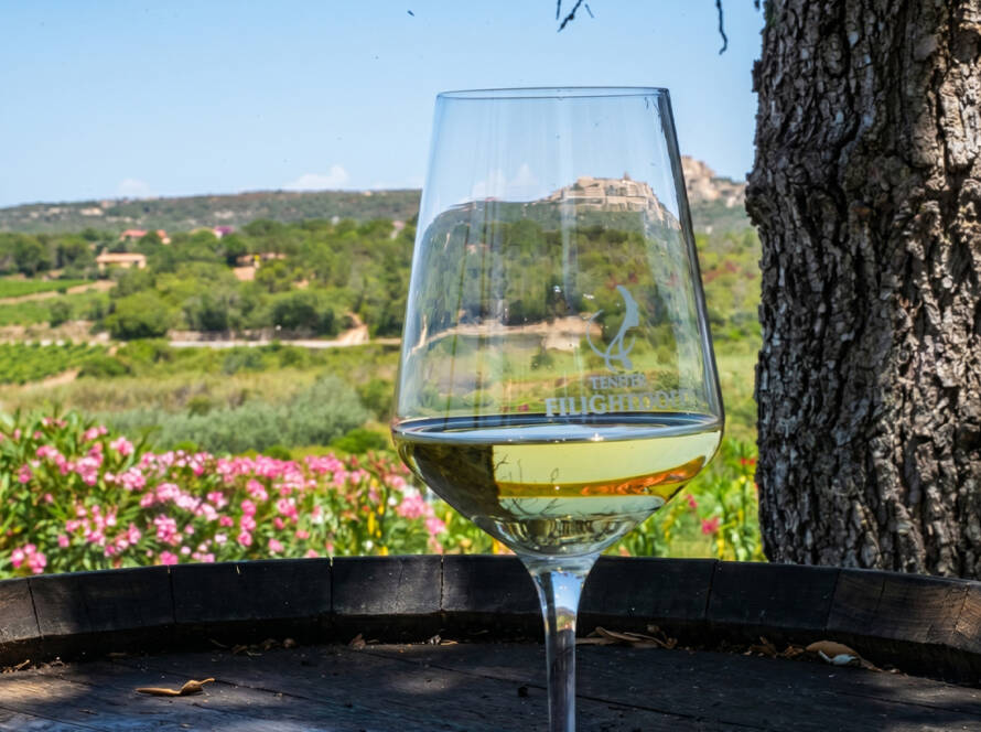 The essence of Vermentino - BEYOND by Medov Group is your onboard concierge for discovering unforgettable, personalized excursions