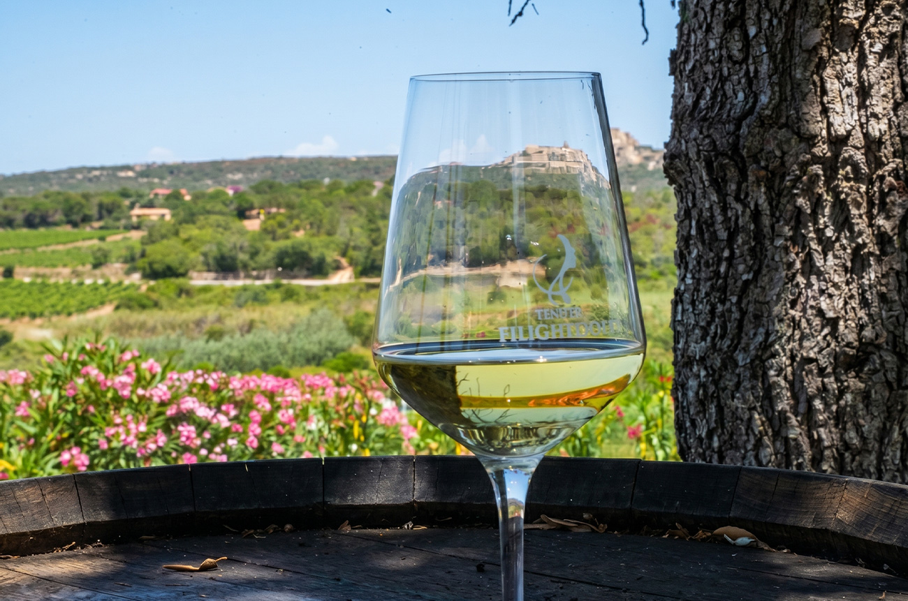 The essence of Vermentino - BEYOND by Medov Group is your onboard concierge for discovering unforgettable, personalized excursions